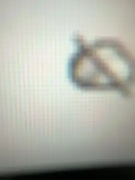 Snapshot of neekosam12 chatting on March 27, 5:13 am neekosam12 online show from March 27, 5:13 am