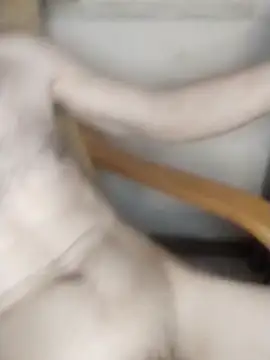 Snapshot of AndrewXSkyp chatting on March 17, 10:24 pm AndrewXSkyp online show from March 17, 10:24 pm