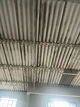 soribakerr online show from March 25, 8:26 pm