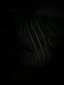 Angel Lov3 online show from April 11, 5:23 am