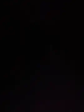 BunnyYT online show from August 3, 2:33 pm