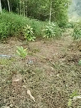 Snapshot of 01_ANNA_01 chatting on March 27, 9:32 am 01 ANNA 01 online show from March 27, 9:32 am