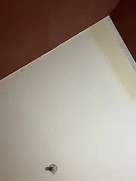 MoonGoddess424 online show from February 24, 4:10 am