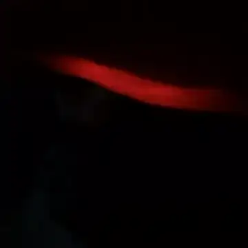 Snapshot of yaocaobi8 chatting on March 19, 10:25 pm yaocaobi8 online show from March 19, 10:25 pm