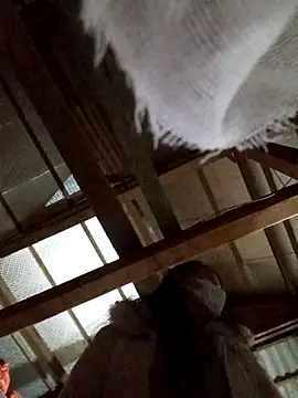 Snapshot of Heylen_hooo chatting on March 16, 2:32 pm Heylen hooo online show from March 16, 2:32 pm