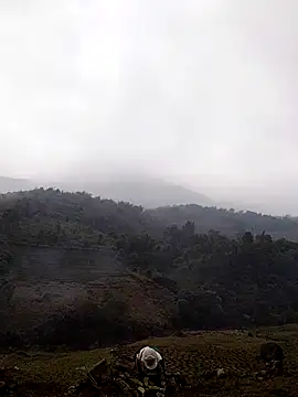 Snapshot of lyly_sexx chatting on March 14, 4:29 am lyly sexx online show from March 14, 4:29 am