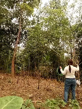 Snapshot of lyly_sexx chatting on March 28, 1:05 am lyly sexx online show from March 28, 1:05 am