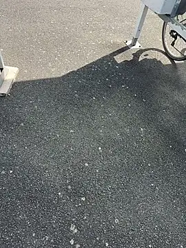 portostrip online show from April 14, 1:39 pm