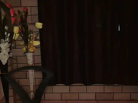 Snapshot of ZohinDishoza chatting on March 18, 7:06 pm ZohinDishoza online show from March 18, 7:06 pm