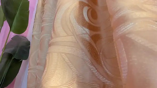 Snapshot of evelyn__rose1 chatting on March 8, 2:04 am evelyn rose1 online show from March 8, 2:04 am