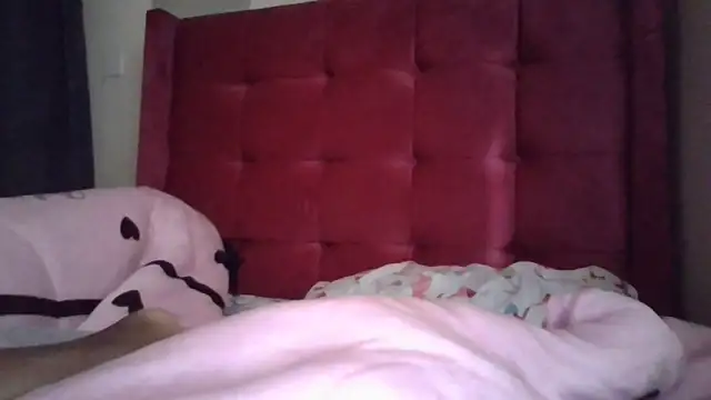 Snapshot of Babydika chatting on March 28, 6:24 am Babydika online show from March 28, 6:24 am