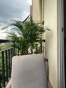 Pamela222- online show from March 7, 5:32 pm