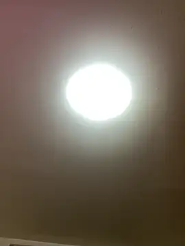 Snapshot of KarmaFoxx chatting on March 26, 3:01 am KarmaFoxx online show from March 26, 3:01 am