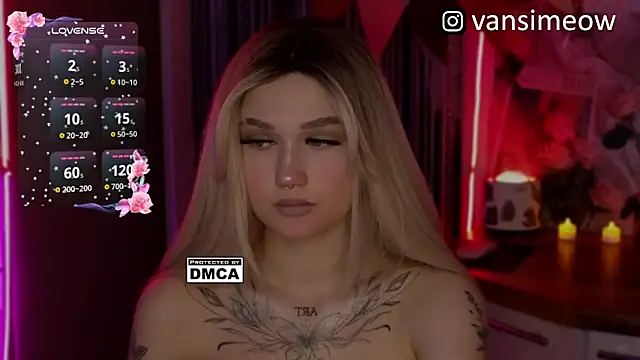 Snapshot of vanxli chatting on March 29, 1:05 am vanxli online show from March 29, 1:05 am