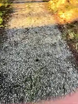 Sweetlauu online show from March 1, 7:54 am