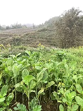 Snapshot of Annhiene chatting on March 11, 3:23 am Annhiene online show from March 11, 3:23 am