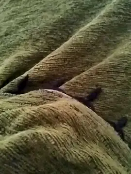 Snapshot of detasuta chatting on March 7, 3:47 am detasuta online show from March 7, 3:47 am