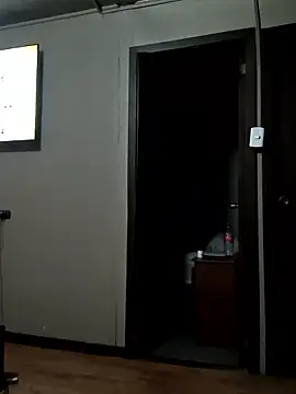 Snapshot of vikingo3333 chatting on March 18, 4:48 am vikingo3333 online show from March 18, 4:48 am