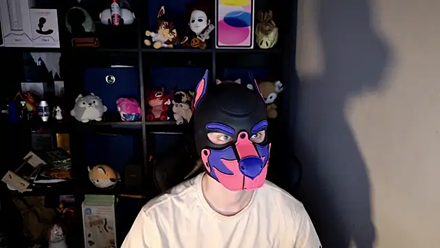 MellPUP online show from June 15, 11:23 am