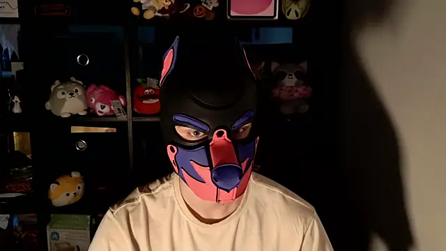 MellPUP online show from June 17, 11:45 am