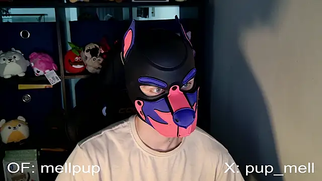 MellPUP online show from June 25, 1:04 pm
