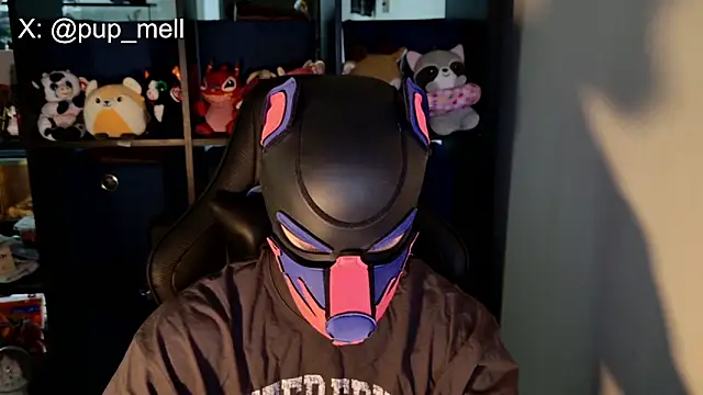 MellPUP online show from August 4, 3:36 pm