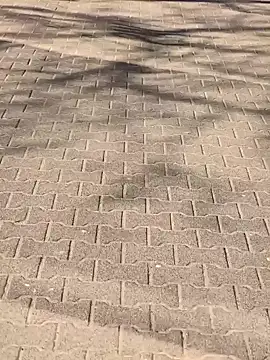 Snapshot of MarekPublicShow chatting on March 6, 1:18 pm MarekPublicShow online show from March 6, 1:18 pm