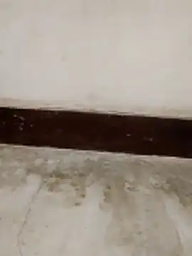 Snapshot of Student_girl00 chatting on March 15, 5:02 am Student girl00 online show from March 15, 5:02 am