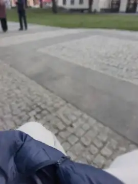 PublicMarekFlashDick online show from March 28, 2:38 pm