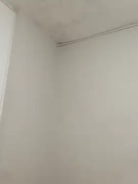 hacheshx online show from March 17, 9:56 am