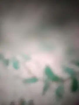 Snapshot of King_night1 chatting on March 25, 10:05 pm King night1 online show from March 25, 10:05 pm