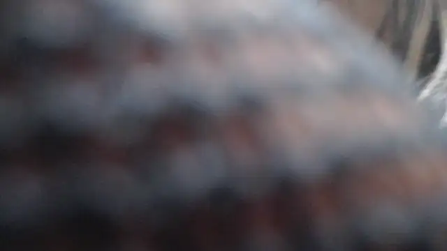 Snapshot of Britanylovee chatting on March 27, 2:50 pm Britanylovee online show from March 27, 2:50 pm