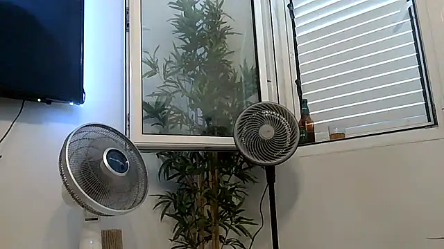 Snapshot of yanick931 chatting on July 27, 11:39 am yanick931 online show from July 27, 11:39 am