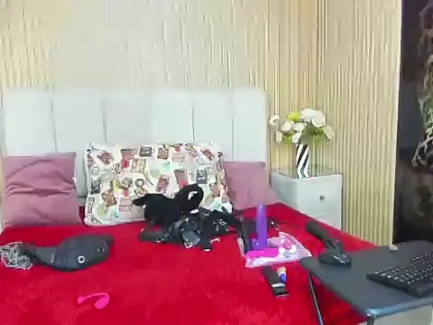 Snapshot of NikiEvanz chatting on March 26, 4:34 pm NikiEvanz online show from March 26, 4:34 pm