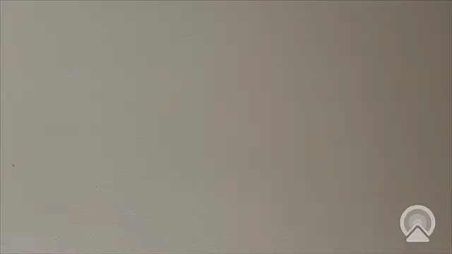 Shynesse21 online show from March 26, 11:38 am