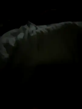 tundrata online show from March 20, 1:43 am