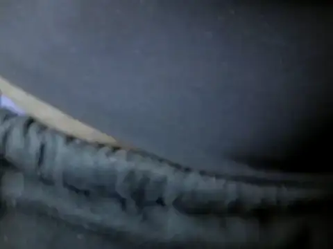 Snapshot of Sexy-Ebonise chatting on March 22, 9:13 am Sexy-Ebonise online show from March 22, 9:13 am