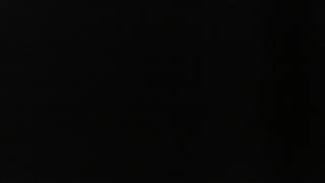 D dorman online show from May 25, 3:56 am