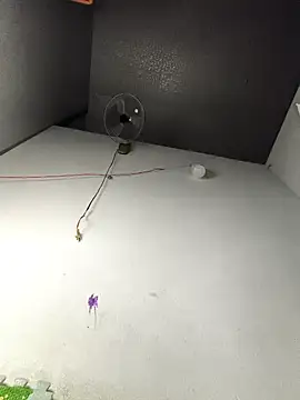 Snapshot of my33verything chatting on March 18, 2:09 pm my33verything online show from March 18, 2:09 pm