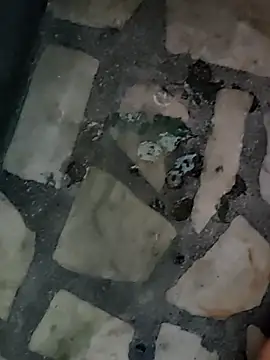 Snapshot of diljaan51 chatting on March 26, 4:40 am diljaan51 online show from March 26, 4:40 am