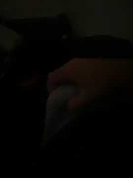 yassineamri online show from March 28, 1:22 pm