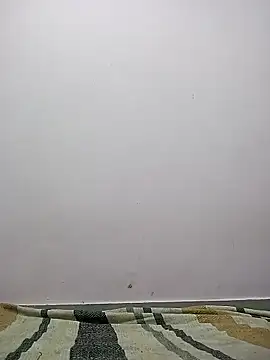 M  Payal   online show from March 22, 5:22 am