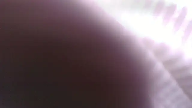 Snapshot of Lucia__vega chatting on May 30, 11:18 am Lucia vega online show from May 30, 11:18 am