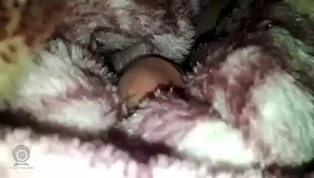 Snapshot of yarar_can chatting on March 27, 9:47 pm yarar can online show from March 27, 9:47 pm