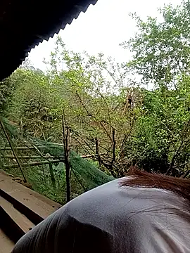 Snapshot of meg_06 chatting on March 27, 12:16 am meg 06 online show from March 27, 12:16 am