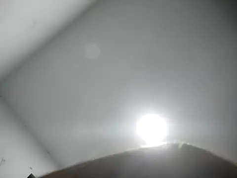 sexywolf10x online show from April 1, 12:44 am