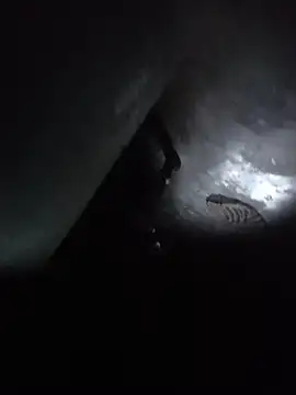 Snapshot of akash-playboy chatting on March 27, 12:05 pm akash-playboy online show from March 27, 12:05 pm