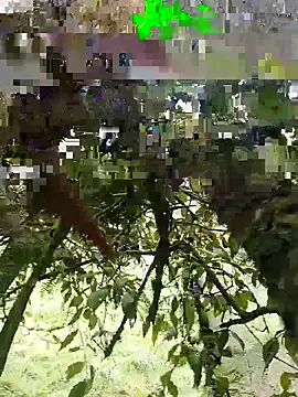 xjkedv online show from June 6, 6:45 pm