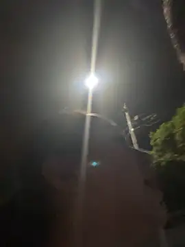 Exotic street online show from June 6, 1:43 am