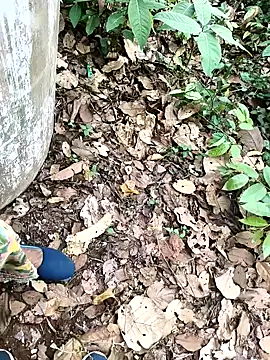 Chandni78 online show from April 2, 7:50 am